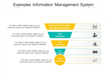 Examples information management system ppt powerpoint presentation icon cpb