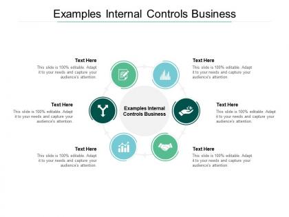 Examples internal controls business ppt powerpoint presentation pictures mockup cpb