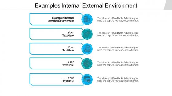 Examples internal external environment ppt powerpoint presentation portfolio cpb