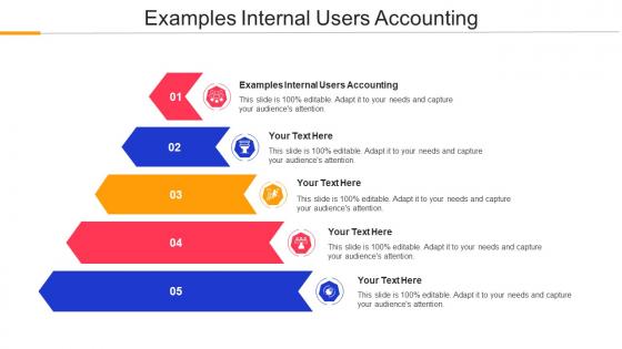 Examples Internal Users Accounting Ppt Powerpoint Presentation Inspiration Slide Portrait Cpb
