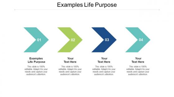 Examples life purpose ppt powerpoint presentation professional smartart cpb