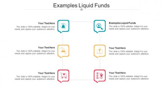 Examples Liquid Funds Ppt Powerpoint Presentation Pictures Guidelines Cpb