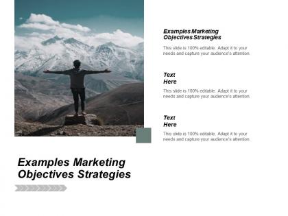 Examples marketing objectives strategies ppt powerpoint presentation pictures vector cpb