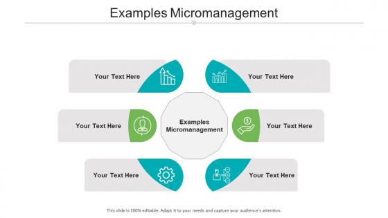Examples micromanagement ppt powerpoint presentation show background image cpb