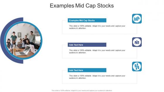 Examples Mid Cap Stocks In Powerpoint And Google Slides Cpb