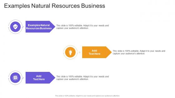 Examples natural resources business in powerpoint and google slides cpb