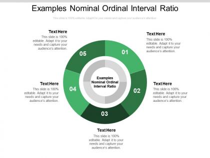 Examples nominal ordinal interval ratio ppt powerpoint presentation summary graphics cpb