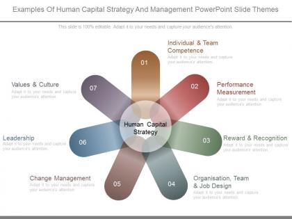 Examples of human capital strategy and management powerpoint slide themes