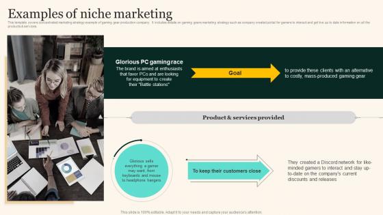 Examples Of Niche Marketing Marketing Strategies To Grow Your Audience