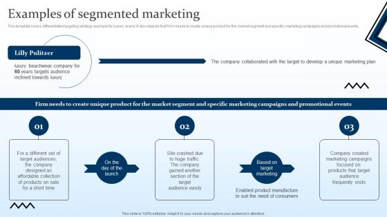 Examples Of Segmented Marketing Targeting Strategies And The Marketing Mix