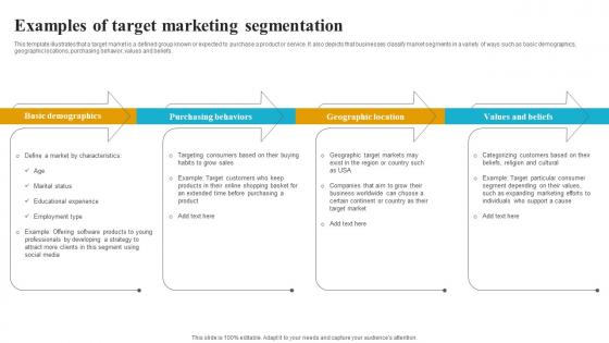 Examples Of Target Marketing Segmentation How To Create A Target Market Strategy Strategy Ss V