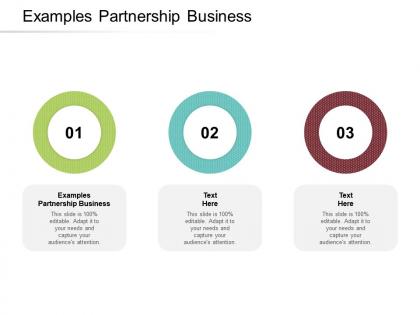 Examples partnership business ppt powerpoint presentation styles infographics cpb