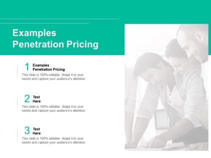 Examples penetration pricing ppt powerpoint presentation portfolio cpb
