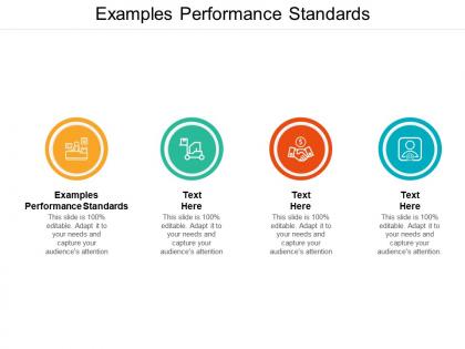 Examples performance standards ppt powerpoint presentation outline example cpb