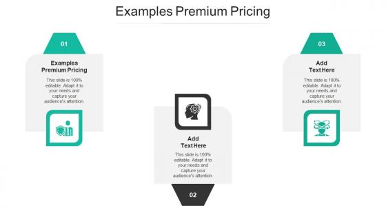 Examples Premium Pricing Ppt Powerpoint Presentation File Graphics Cpb
