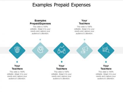Examples prepaid expenses ppt powerpoint presentation pictures graphics template cpb
