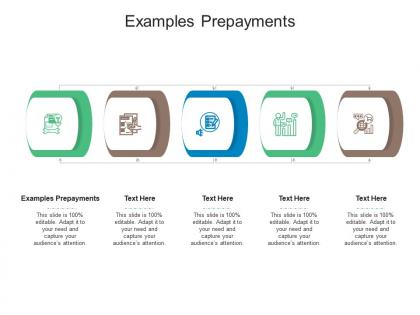 Examples prepayments ppt powerpoint presentation ideas graphics tutorials cpb