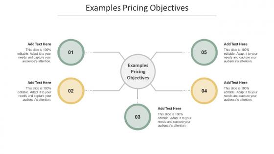 Examples Pricing Objectives In Powerpoint And Google Slides Cpb