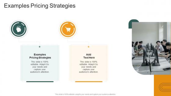 Examples Pricing Strategies In Powerpoint And Google Slides Cpb