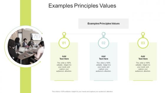 Examples Principles Values In Powerpoint And Google Slides Cpb