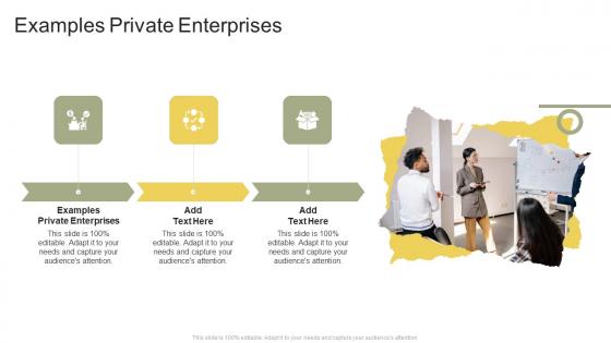 Examples Private Enterprises In Powerpoint And Google Slides Cpb