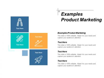 Examples product marketing ppt powerpoint presentation portfolio inspiration cpb