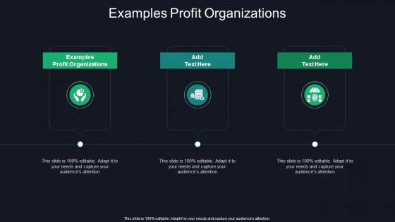 Examples Profit Organizations In Powerpoint And Google Slides Cpb