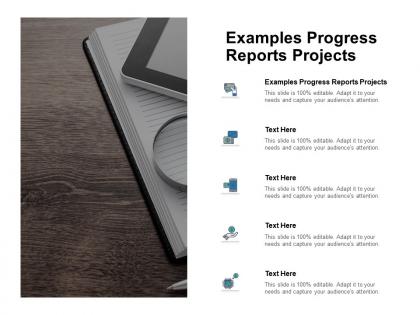 Examples progress reports projects ppt powerpoint presentation styles portrait cpb