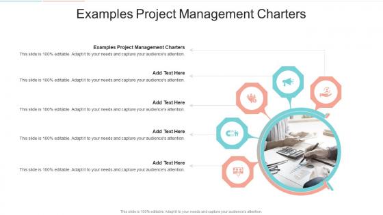 Examples Project Management Charters In Powerpoint And Google Slides Cpb