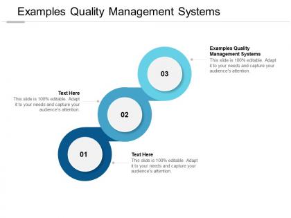 Examples quality management systems ppt powerpoint presentation styles topics cpb
