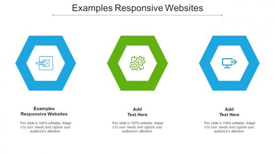 Examples Responsive Websites Ppt Powerpoint Presentation Professional Deck Cpb
