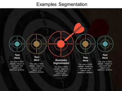 Examples segmentation ppt powerpoint presentation model visuals cpb