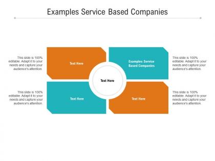 Examples service based companies ppt powerpoint presentation portfolio designs cpb