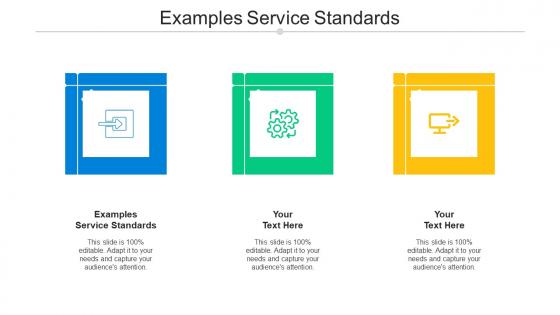 Examples service standards ppt powerpoint presentation model guide cpb