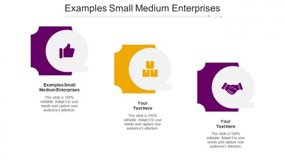 Examples Small Medium Enterprises Ppt Powerpoint Presentation Model Influencers Cpb