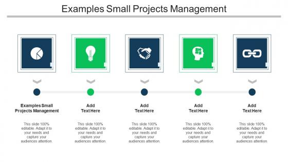 Examples Small Projects Management Ppt Powerpoint Presentation Summary Cpb