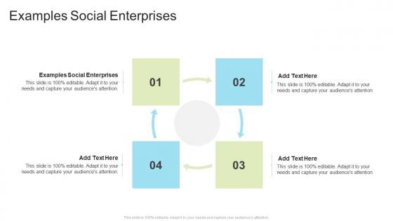 Examples Social Enterprises In Powerpoint And Google Slides Cpb