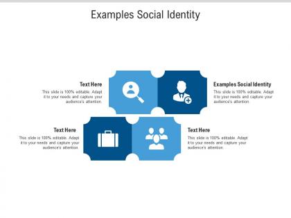 Examples social identity ppt powerpoint presentation summary designs cpb