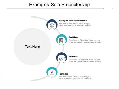 Examples sole proprietorship ppt powerpoint presentation show skills cpb