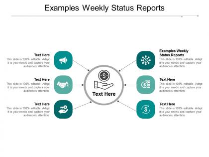 Examples weekly status reports ppt powerpoint presentation outline clipart images cpb