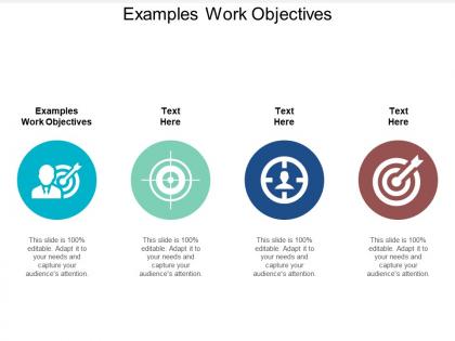 Examples work objectives ppt powerpoint presentation pictures cpb