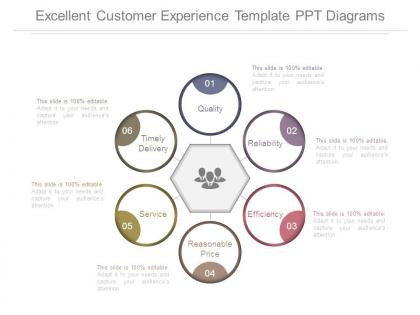 Excellent customer experience template ppt diagrams