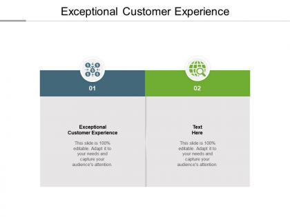 Exceptional customer experience ppt powerpoint presentation styles example introduction cpb