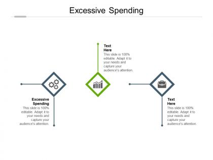 Excessive spending ppt powerpoint presentation styles display cpb