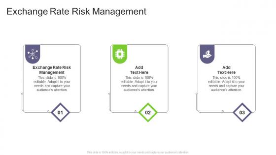Exchange Rate Risk Management In Powerpoint And Google Slides Cpb