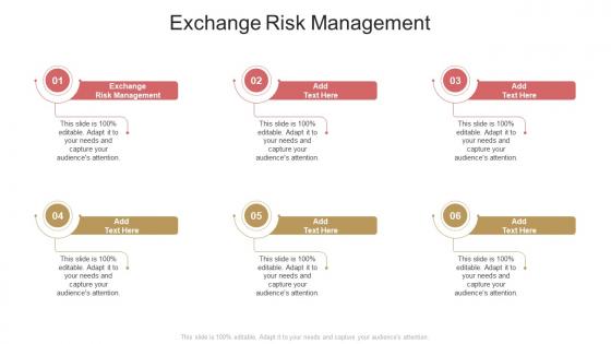 Exchange Risk Management In Powerpoint And Google Slides Cpb