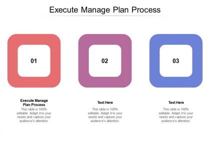 Execute manage plan process ppt powerpoint presentation icon cpb