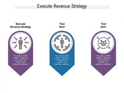 Execute revenue strategy ppt powerpoint presentation slides file formats cpb