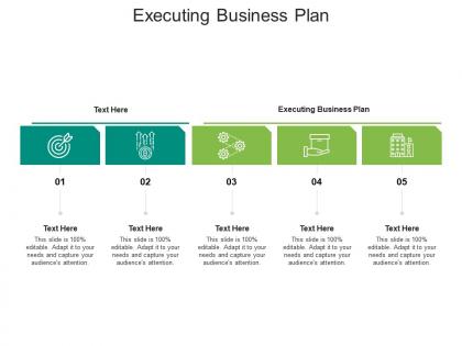 Executing business plan ppt powerpoint presentation summary pictures cpb