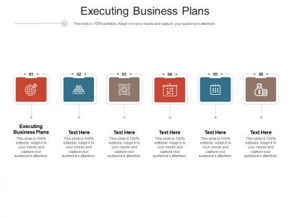Executing business plans ppt powerpoint presentation styles pictures cpb